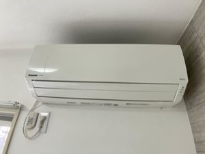 ほうれんそう 0105号-3