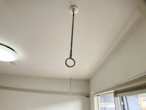 ほうれんそう 0105号-4