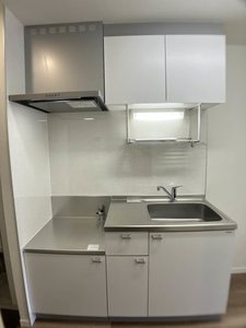 ほうれんそう 0105号-6