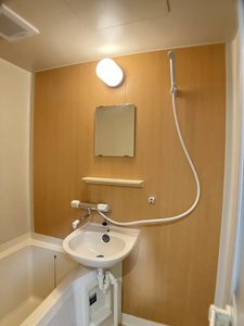 ほうれんそう 0105号-8