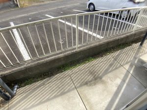 ほうれんそう 0105号-11