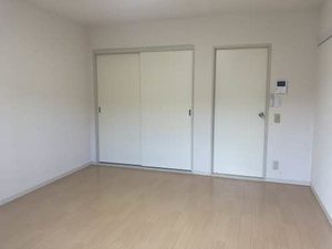 ほうれんそう 0206号-4