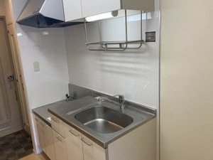 ほうれんそう 0206号-8