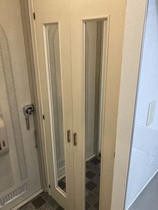 ほうれんそう 0206号-9