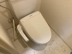 ほうれんそう 0206号-11