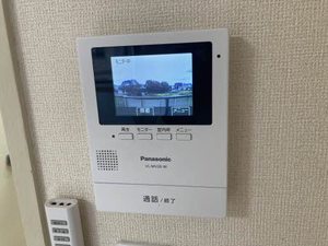 ほうれんそう 0206号-13