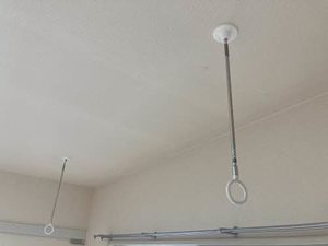 ほうれんそう 0206号-14