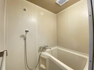 タウニイヒロミ 0103号-10