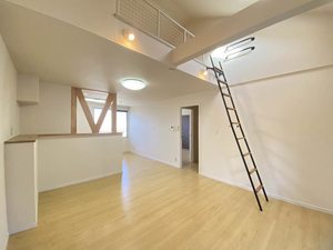 ヒルズ１１０１ 0202号-3