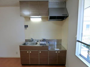 チェリーアイランド桜島 B201号-5