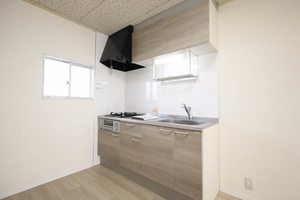 ラフォーレＭＩＮＥ B101号-2