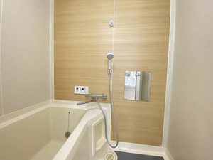 ヴァンテアンSHINFUJI 0105号-9