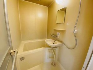 アーク入場 0205号-11