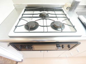 ハイムＯｕｋａｎ 0210号-11