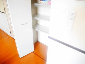 ＳＴ．ＭＡＲＩＮＥＲＳ　ＣＲＡＤＬＥ A201号-14