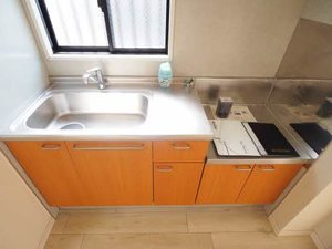 アムール 0101号-9