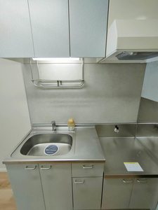 Ｒｉｎ D102号-8