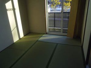 バリュージュＹ＆Ｍ 0102号-6