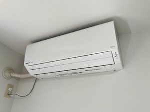 サンモール レモンの木 0102号-13