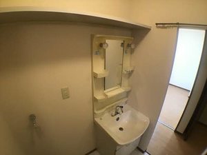 るびなす 0103号-10