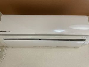 ラベンダー虹Ｂ 0201号-13