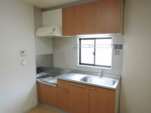 ビューテラスSHINMEI B101号-4