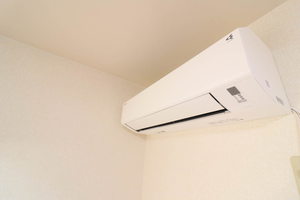 ルーラルグリーン A202号-13