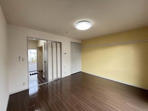 ルイーネ 0102号-2