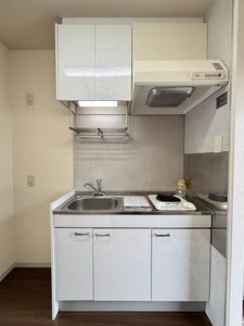 ルイーネ 0102号-4