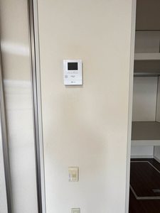 ルイーネ 0102号-10