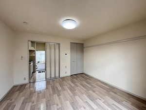 ルイーネ 0103号-14