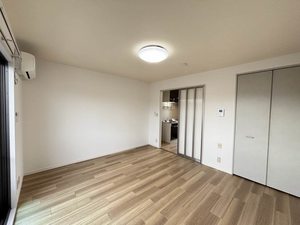 ルイーネ 0204号-9