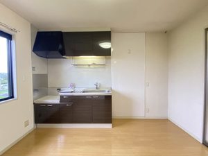 メゾンフルール 0203号-13