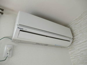プランタン　デンボー 0102号-14