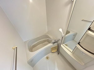 アクシス A202号-4