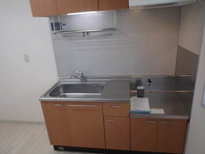 アクシス B203号-5