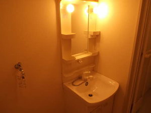 アクシス B203号-10