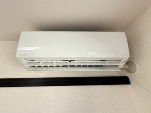 ルミエールさかざき A202号-11