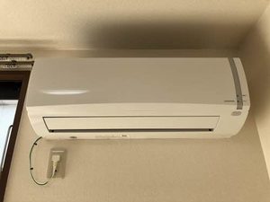 ウッドベルイーグル B102号-10