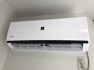 ウッドベルイーグル B201号-8