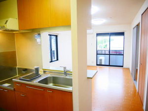 Ｖａｎｔａｇｅ A205号-3