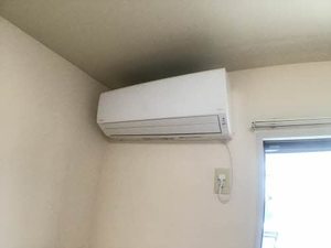 カンファトリー B202号-10