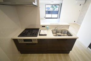 ハイツかえで 0101号-3