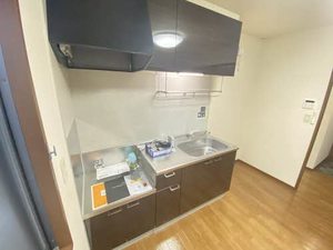 グリーンヒル８ 0201号-3