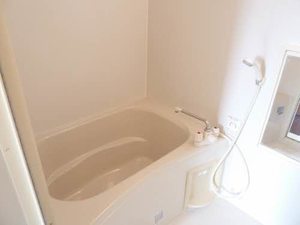 カーサ　ベルデュール 0102号-12