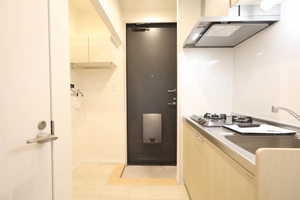 コスモス 0201号-10