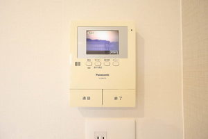 コスモス 0201号-13