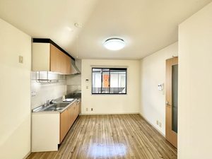 アペックスフォーレス A102号-9