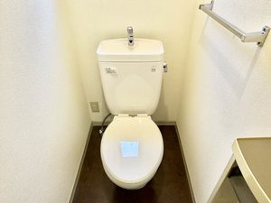 アペックスフォーレス A102号-15