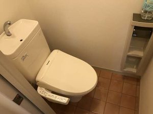コスモスⅠ 1102号-10